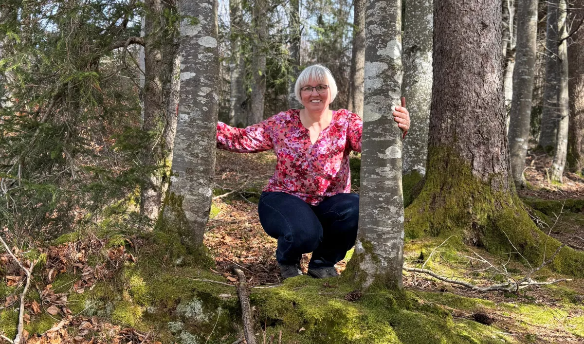 Energetische Aufrichtung Wegfinder Coaching Frauke Nagel