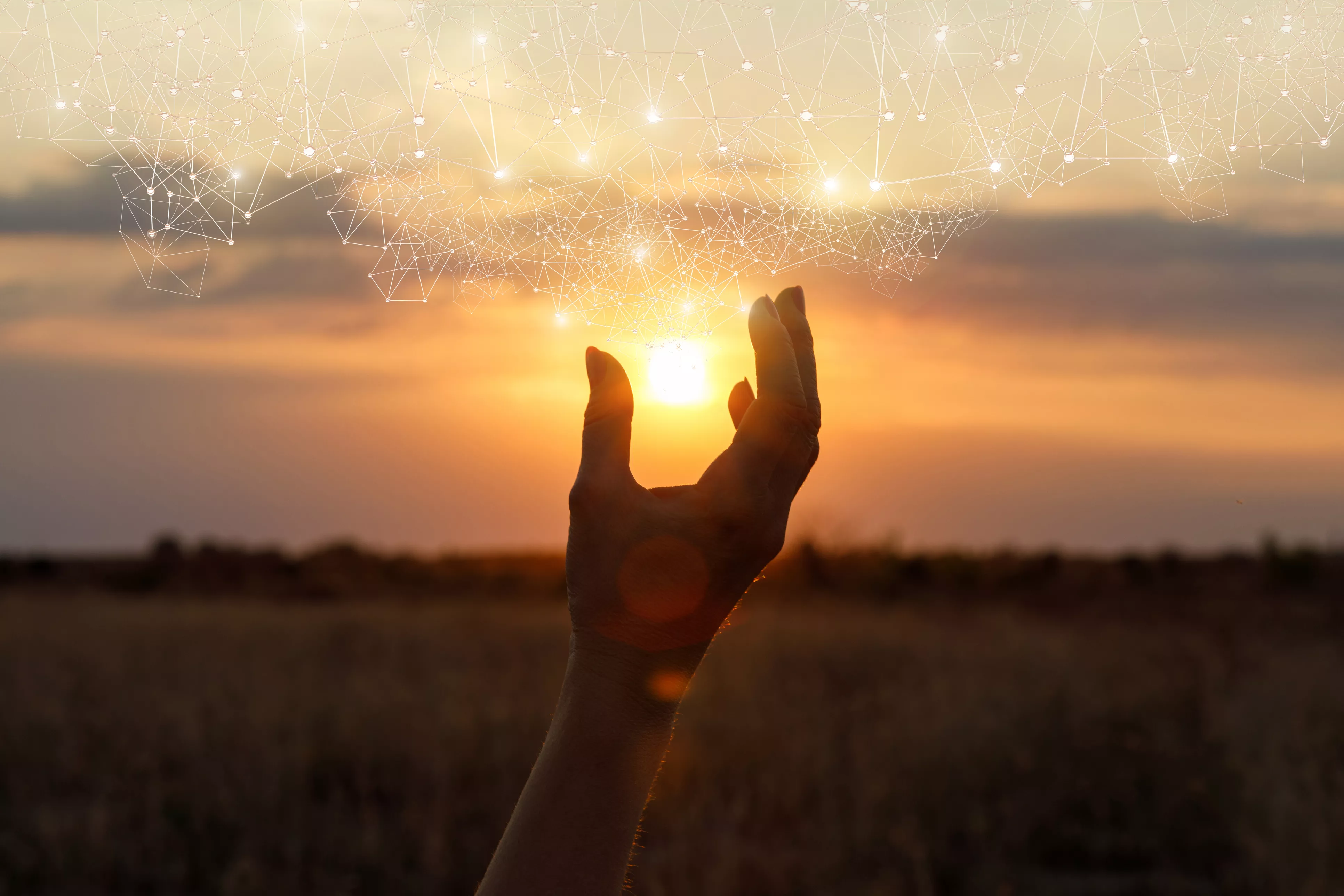 Energetische Aufrichtung Patricia St. Clair Wegfinder Coaching Frauke Nagel