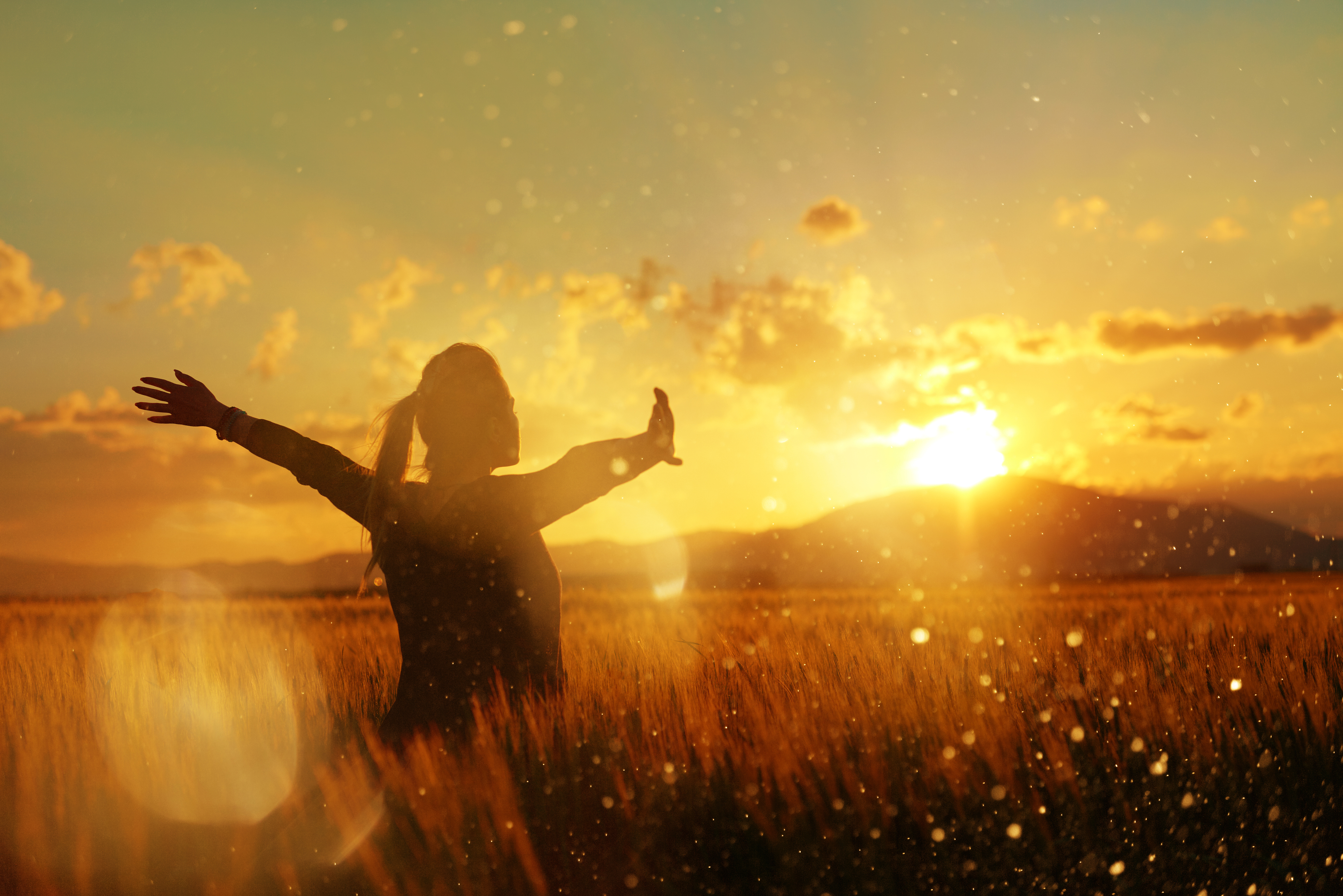istock-637492768.jpeg